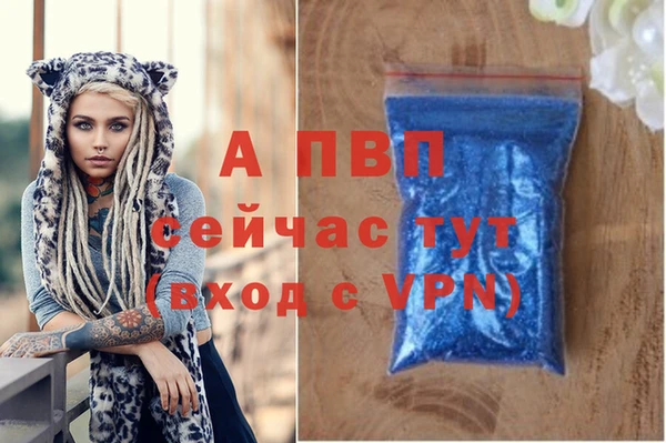 гашик Надым