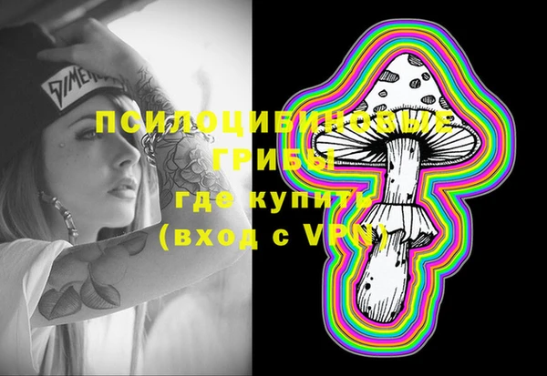 гашик Надым