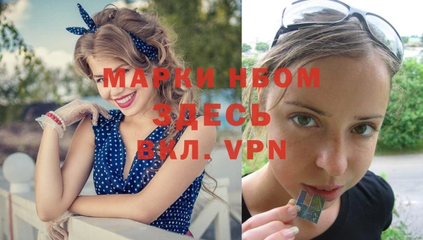 гашик Надым