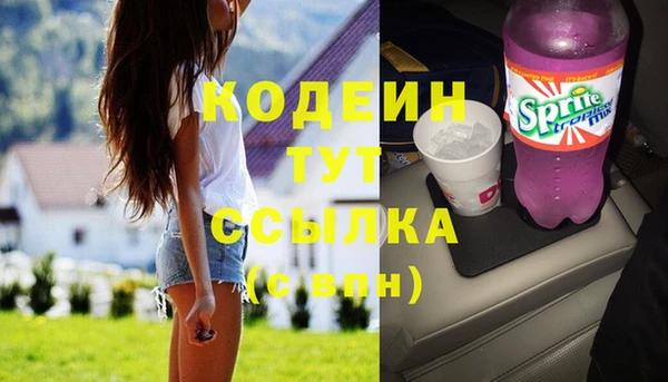 гашик Надым