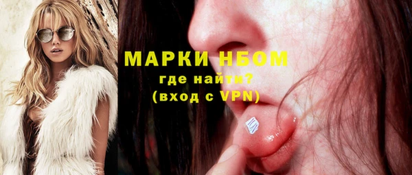 гашик Надым