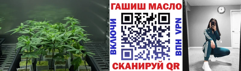 Дистиллят ТГК Wax  как найти закладки  Братск 